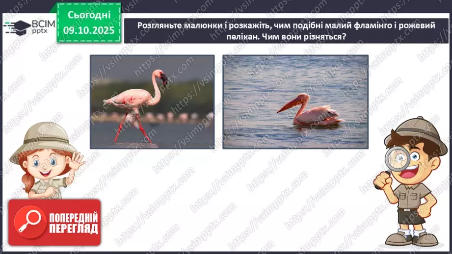 №023 - Мова суахілі. Озеро Накуру18 №023 - Мова суахілі. Озеро Накуру18