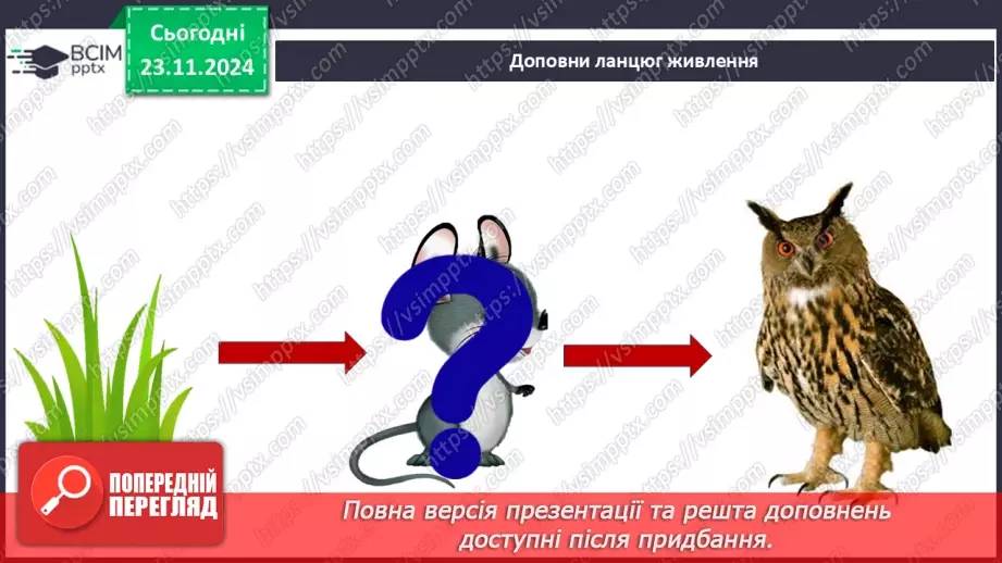 №0038 - Які невидимі ланцюги є в осінньому лісі17 №0038 - Які невидимі ланцюги є в осінньому лісі17