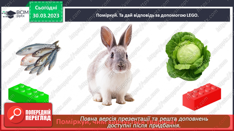 №0090 - Яких свійських тварин вирощують у рідному краї24 №0090 - Яких свійських тварин вирощують у рідному краї24