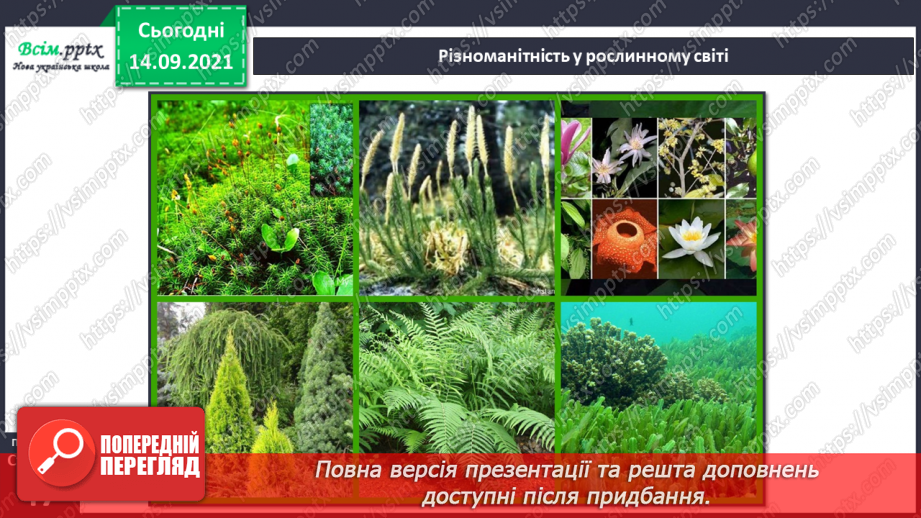 №029 - Ми всі різні: звичаї і традиції9 №029 - Ми всі різні: звичаї і традиції9