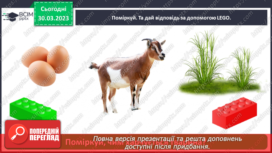 №0090 - Яких свійських тварин вирощують у рідному краї22 №0090 - Яких свійських тварин вирощують у рідному краї22