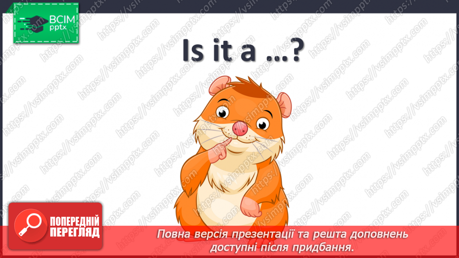 №33 - My pets14