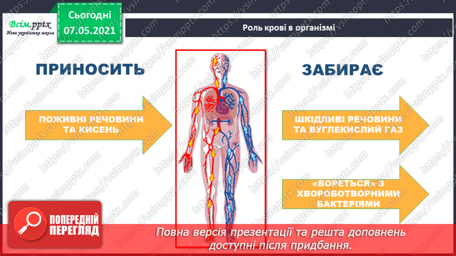 №054 - Яке значення має кровоносна система. Вимірювання частоти свого пульсу10 №054 - Яке значення має кровоносна система. Вимірювання частоти свого пульсу10