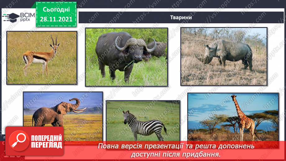 №040 - У чому виявляються особливості рослинного й тваринного світу Африки?17