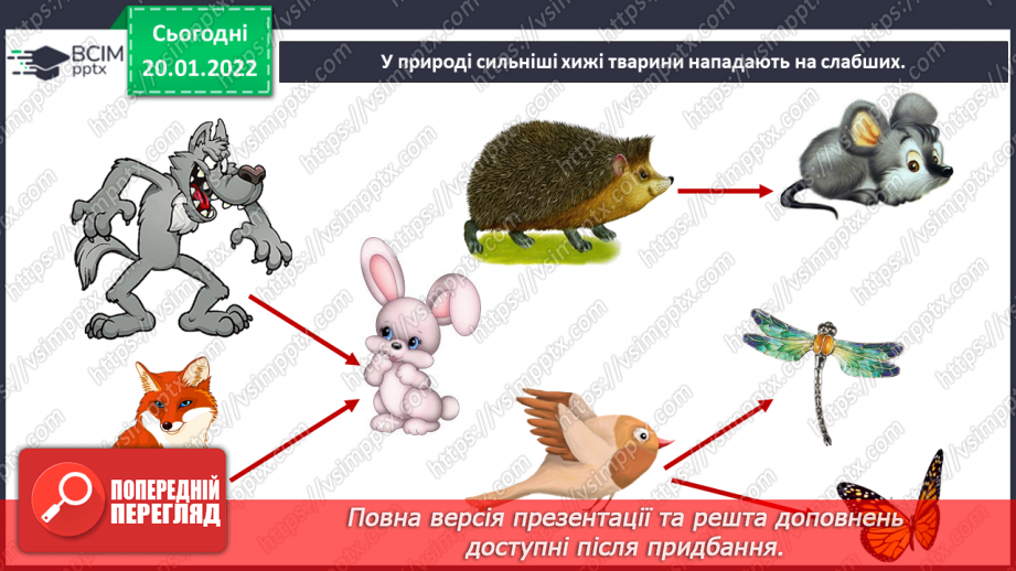 №058 - Які невидимі зв’язки є у природі? Комікс: «Чому говорять, що правда вийде нагору, як олія з води?»12