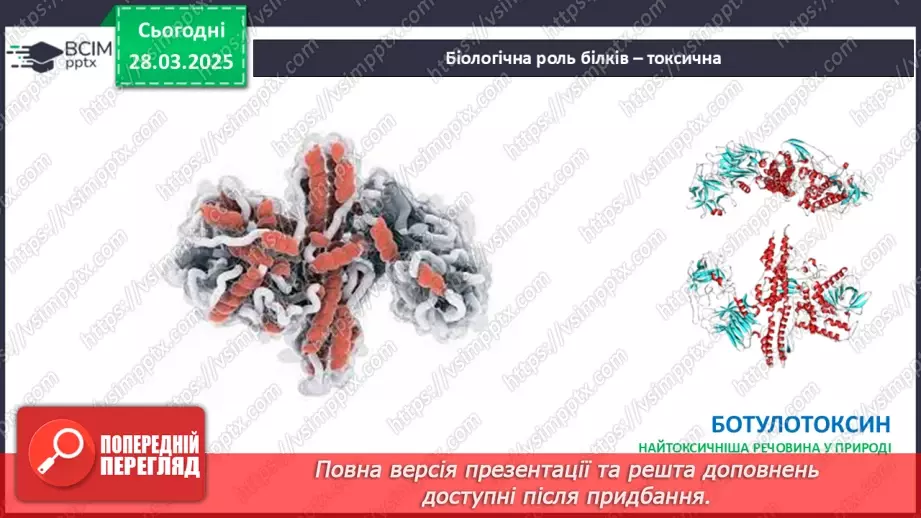 №29-30 - Білки.23 №29-30 - Білки.23