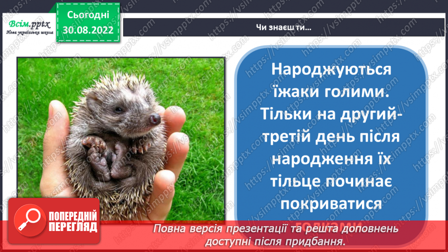 №03 - Працюємо з природним матеріалом. Створюємо їжачка із природних матеріалів5