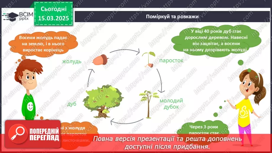 №079 - Царство рослин. Казка про маленького дубка. Як росте дуб14 №079 - Царство рослин. Казка про маленького дубка. Як росте дуб14