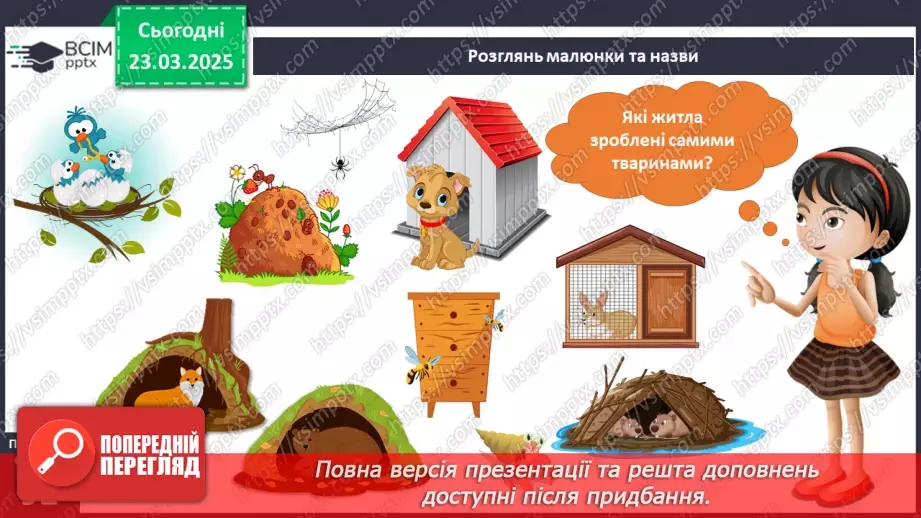 №084 - Як харчуються тварини. Житла тварин.19