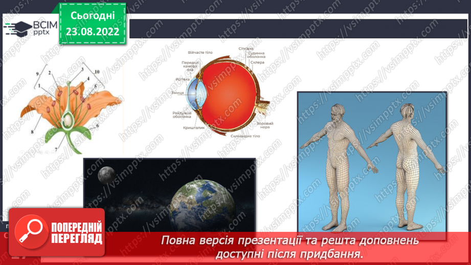 №03 - Як шукати відповіді на запитання. Дослідницький метод. Спостереження, гіпотеза, експеримент.26