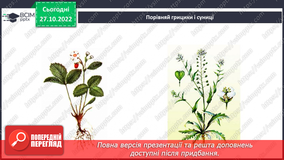 №033 - Будова рослин. Лікарські та отруйні рослини.12 №033 - Будова рослин. Лікарські та отруйні рослини.12