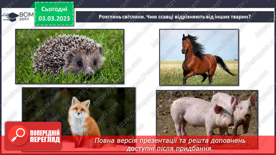 №51 - Узагальнення розділу «Клітини, бактерії, віруси, гриби, рослини і тварини».32