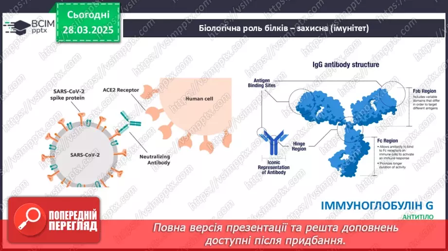 №29-30 - Білки.18 №29-30 - Білки.18