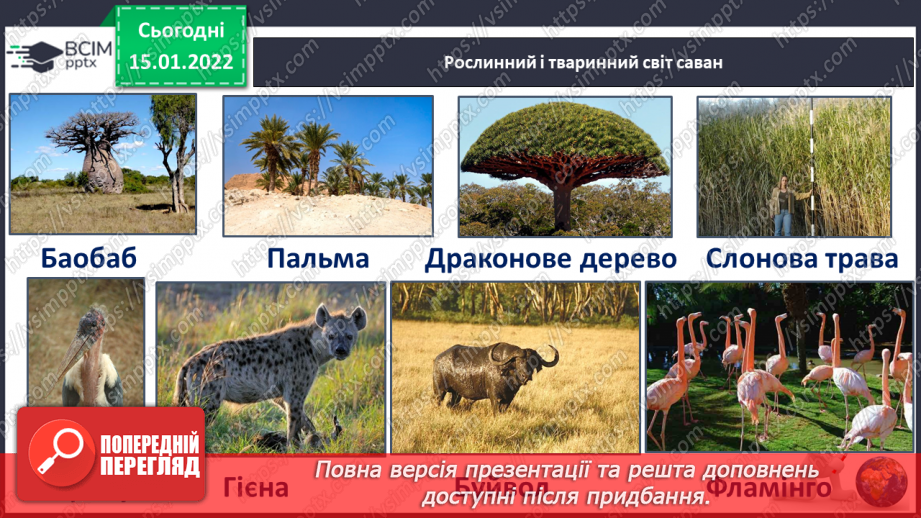 №057 - Які рослини і тварини мешкають в Африці15 №057 - Які рослини і тварини мешкають в Африці15
