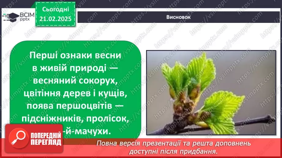 №0071 - Як почуваються рослини навесні19