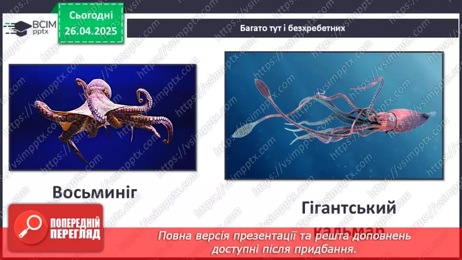 №63 - Чим знаменитий Тихий океан.19