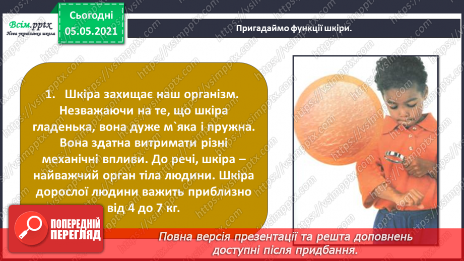 №087 - Орган дотику.12
