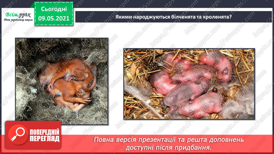 №072 - Застосовуємо знання щодня28