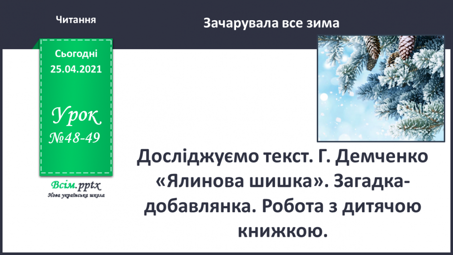 №048 - 049 - Досліджуємо текст. Г. Демченко «Ялинова шишка». Загадка-добавлянка. Робота з дитячою книжкою0