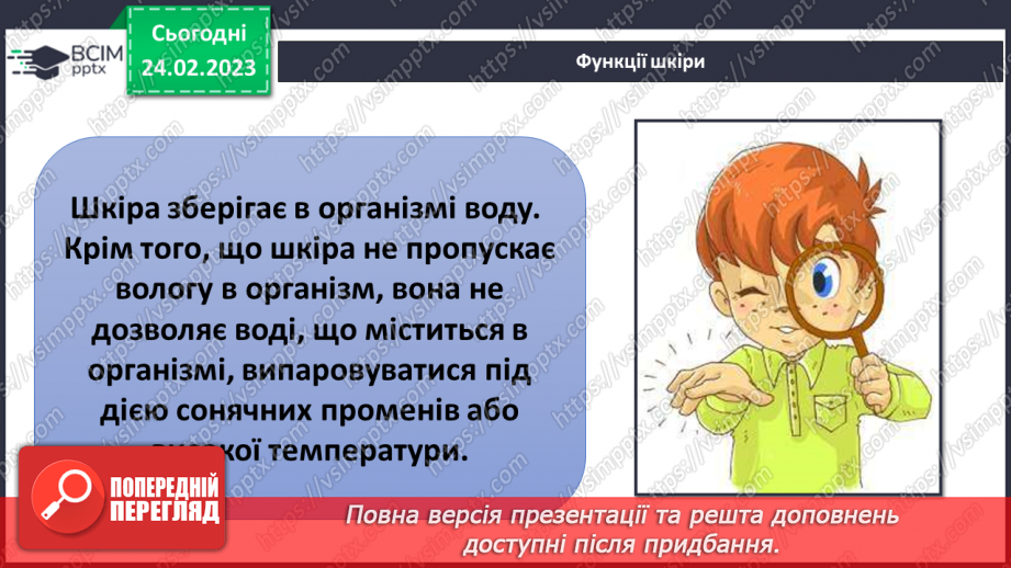 №50 - Із чого складається організм людини. Клітини, внутрішні органи та шкіра.20