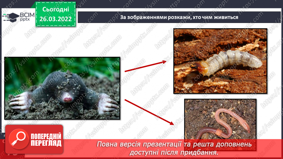 №080 - Лісостеп. Степ21 №080 - Лісостеп. Степ21