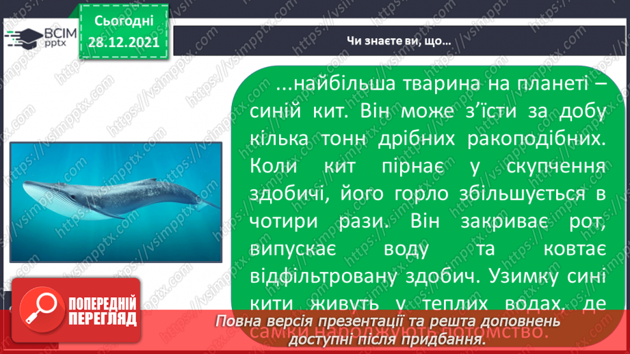 №051 - Чим цікавий Атлантичний океан.24 №051 - Чим цікавий Атлантичний океан.24
