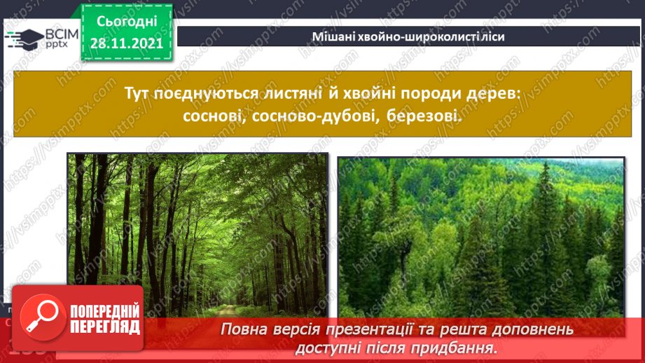 №042 - У чому виявляються особливості рослинного й тваринного світу Північної Америки?18