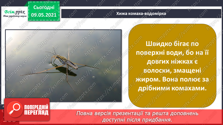 №074-75 - Які тварини живуть на луках, у степах і водоймах?22