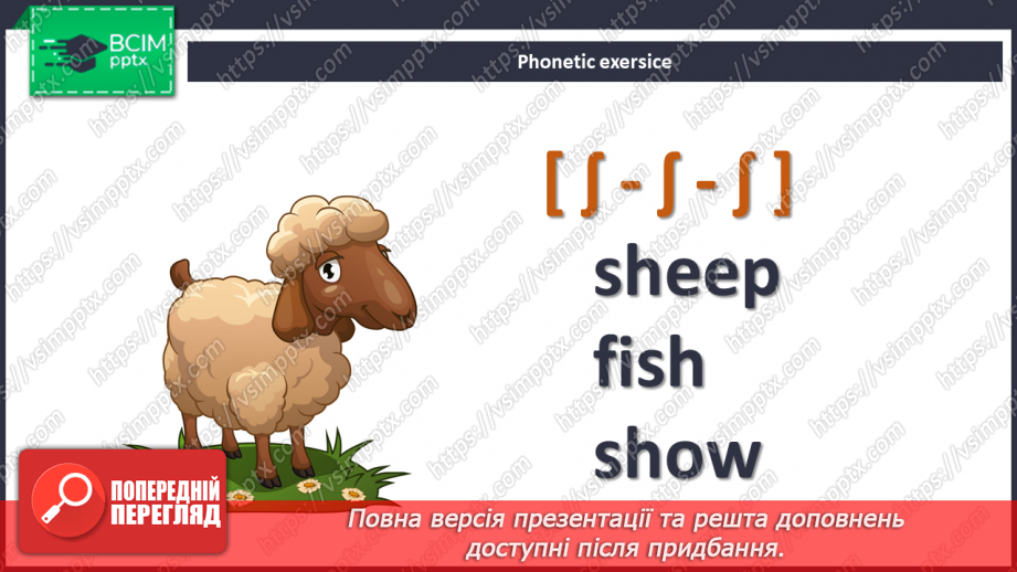 №33 - My pets4