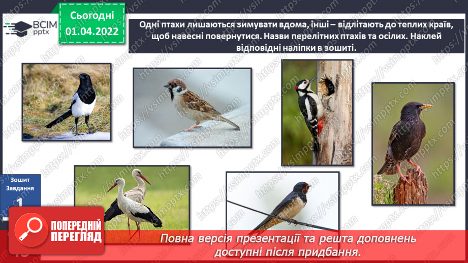 №084 - Як мандрують птахи?20 №084 - Як мандрують птахи?20