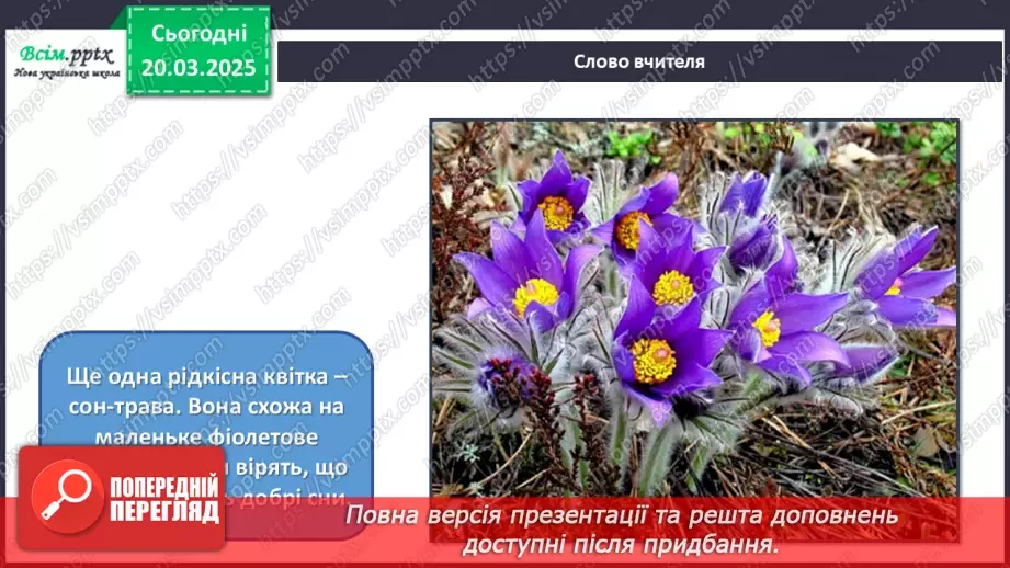 №28 - Квіткові фантазії9 №28 - Квіткові фантазії9