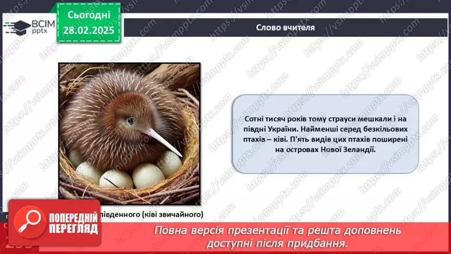 №66 - Безкільові птахи. Роль птахів у природі та житті людини.6