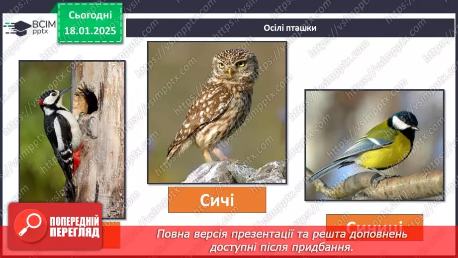 №0055 - Як зимують птахи та звірі5 №0055 - Як зимують птахи та звірі5