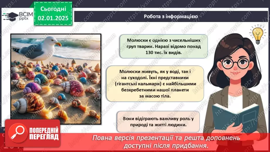 №52 - Молюски.9 №52 - Молюски.9