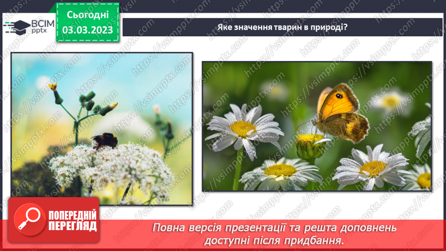 №51 - Узагальнення розділу «Клітини, бактерії, віруси, гриби, рослини і тварини».34