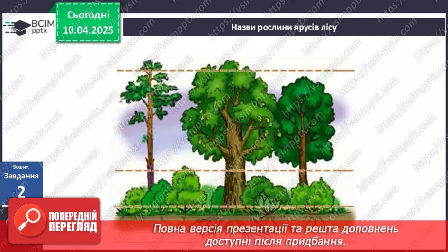 №089 - Ліс. ст.114-11622