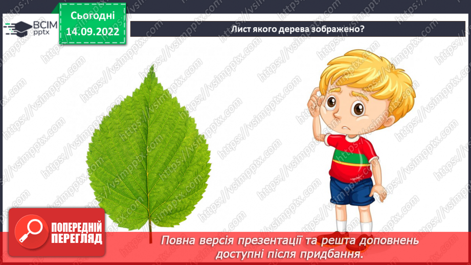 №05 - «Ловись, рибко...». Робота з природними матеріала¬ми. Підготовка природних матеріалів до роботи. Створення аплікації з листя.6