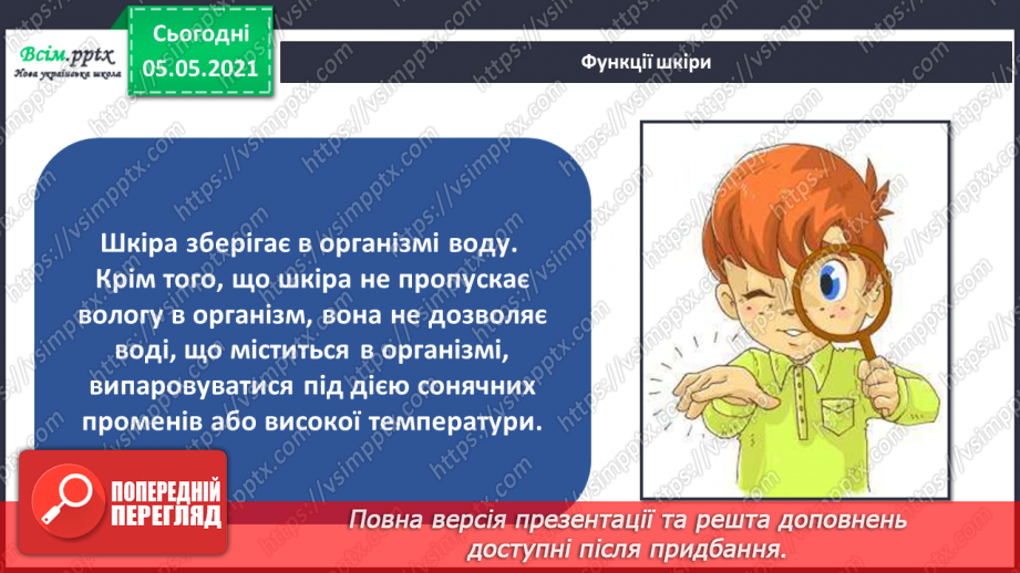 №054 - Функції шкіри.13 №054 - Функції шкіри.13