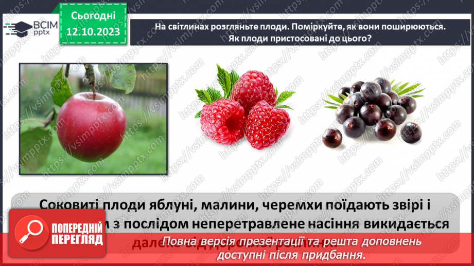 №022 - Плоди і насіння рослин14 №022 - Плоди і насіння рослин14