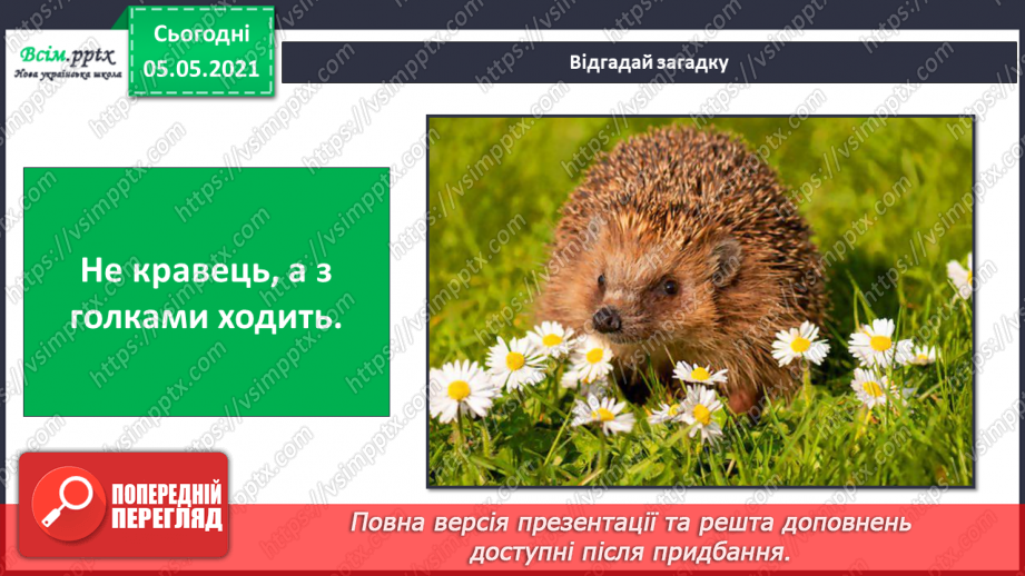 №046 - Різноманітність тварин у природі. Звірі29