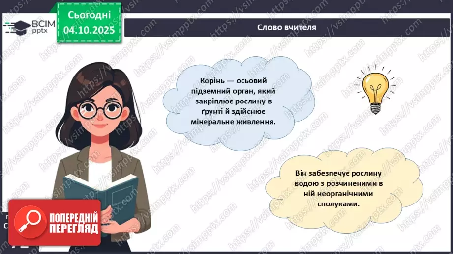 №021 - Покритонасінні рослини: тканини та будова кореня13 №021 - Покритонасінні рослини: тканини та будова кореня13