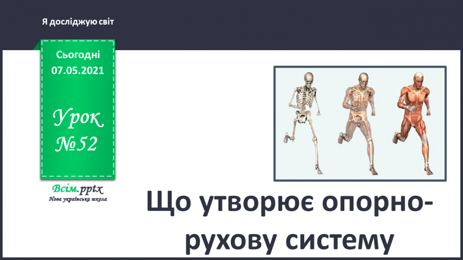 №052 - Що утворює опорно-рухову систему0 №052 - Що утворює опорно-рухову систему0