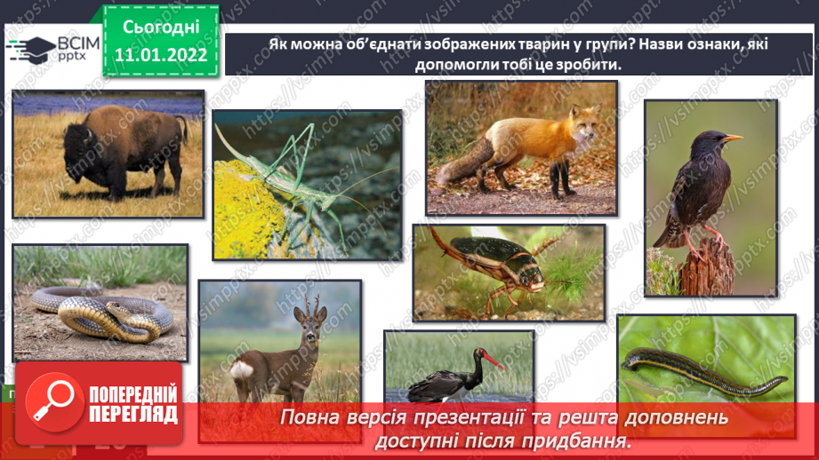 №054-55 - Чи може відоме стати невідомим? Природний заповідник11 №054-55 - Чи може відоме стати невідомим? Природний заповідник11