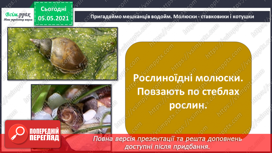 №055-56 - Узагальнення і систематизація знань учнів. Діагностична робота. Аналіз діагностичної роботи.26 №055-56 - Узагальнення і систематизація знань учнів. Діагностична робота. Аналіз діагностичної роботи.26