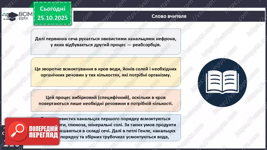 №029 - Будова й функції сечовидільної системи людини. Сечоутворення.14 №029 - Будова й функції сечовидільної системи людини. Сечоутворення.14