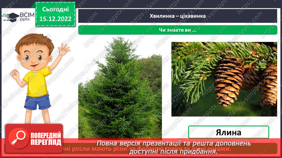 №0052 - Листяні і хвойні рослини12 №0052 - Листяні і хвойні рослини12