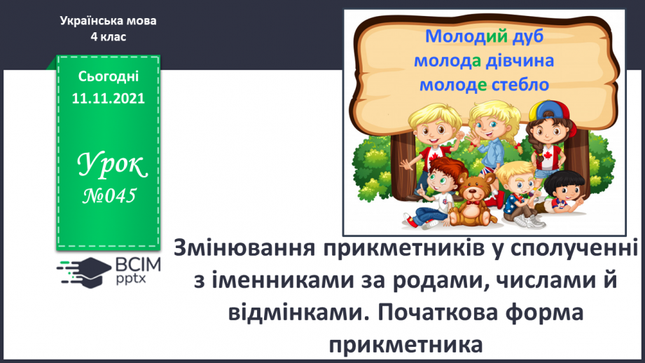 №045 - Змінювання прикметників у сполученні з іменниками за родами, числами й відмінками. Початкова форма прикметника0