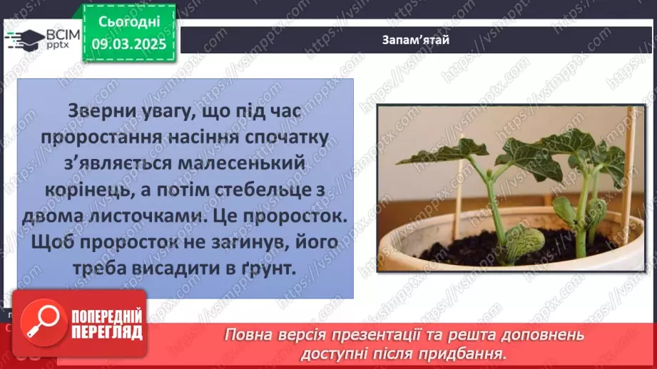 №076 - Як росте і розвивається рослина з насінини. ст.67-6912