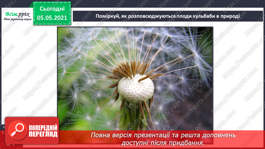 №033 - Розмноження квіткових рослин22