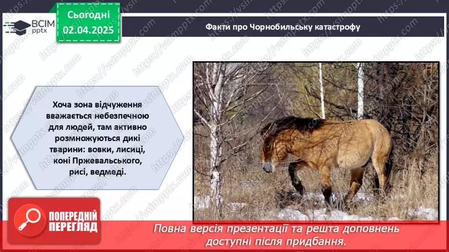 №030 - Пам'ять про Чорнобиль_28 №030 - Пам'ять про Чорнобиль_28